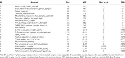 Comparison of Gene Expression Between Resistant and Susceptible Families Against VPAHPND and Identification of Biomarkers Used for Resistance Evaluation in Litopenaeus vannamei